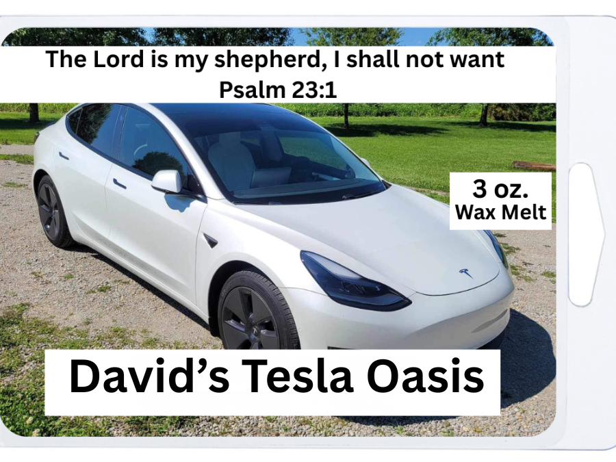 David's Tesla Oasis 3 oz. Wax Melt