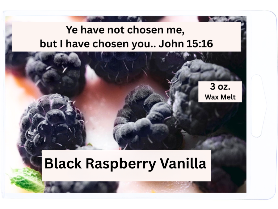 Black Raspberry Vanilla 3 oz. Wax Melt