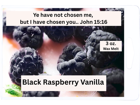 Black Raspberry Vanilla 3 oz. Wax Melt