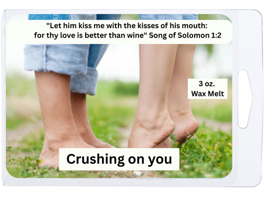 Crushing on You 3 oz. Wax Melt