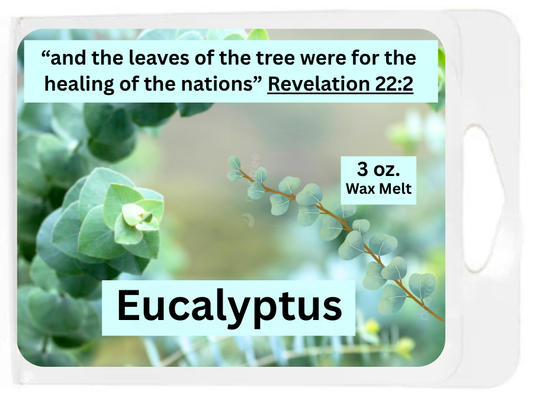 Eucalyptus 3 oz. Wax Melt