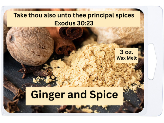 Ginger and Spice 3 oz. Wax Melt