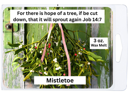 Mistletoe 3 oz. Wax Melt
