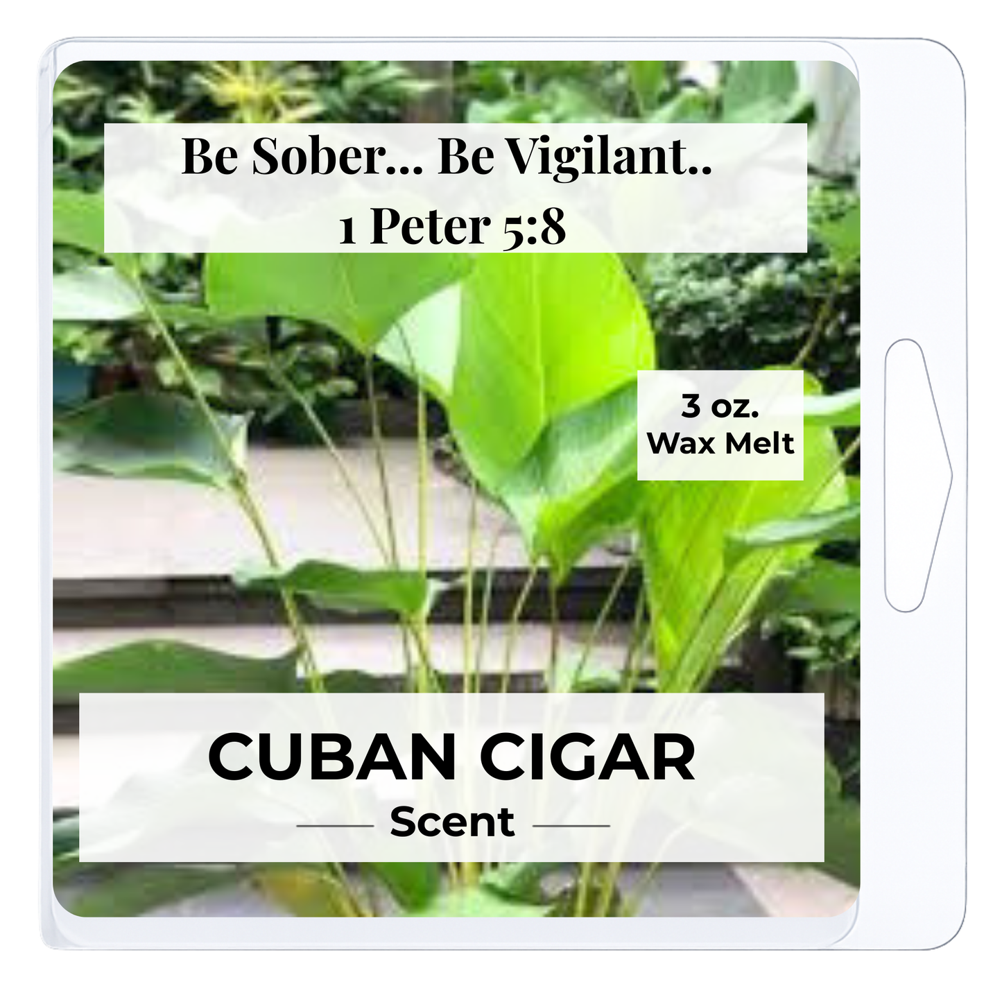 Cuban Cigar 3 oz. Wax Melt