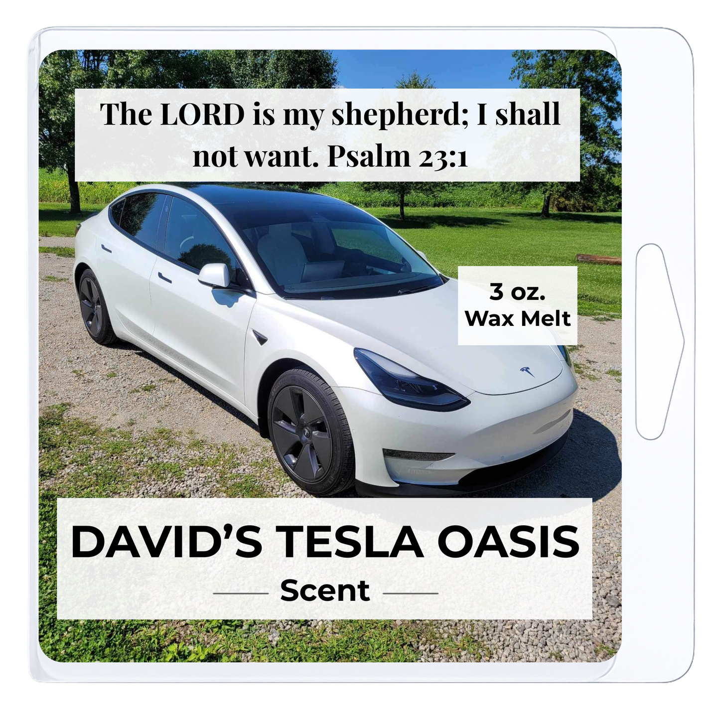 David's Tesla Oasis 3 oz. Wax Melt