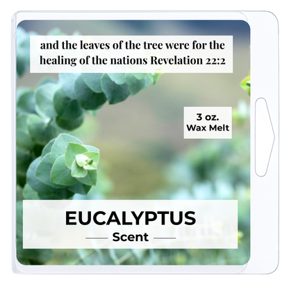 Eucalyptus 3 oz. Wax Melt