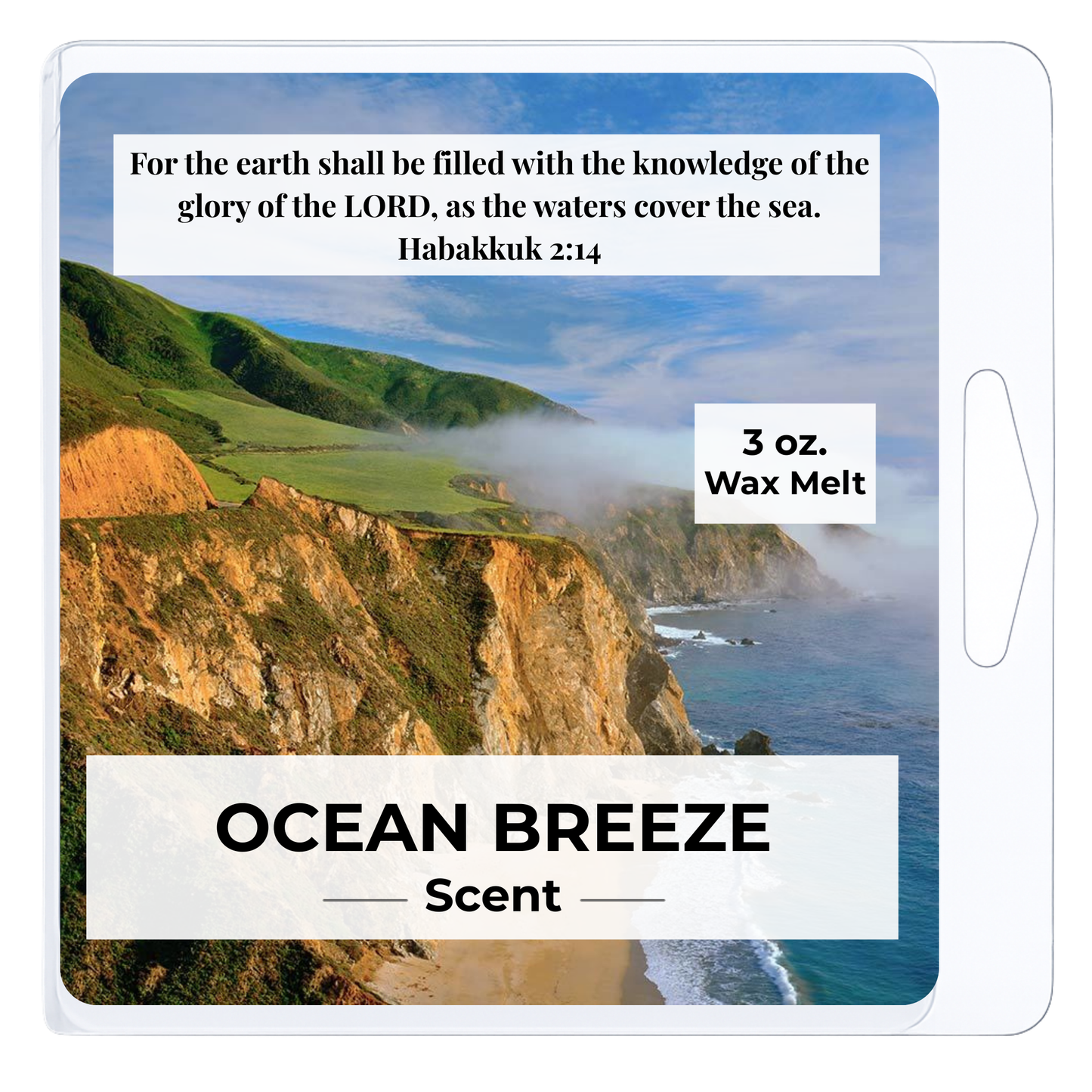 Ocean Breeze 3 oz. Wax Melt