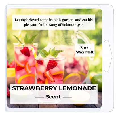 Strawberry Lemonade 3 oz. Wax Melt