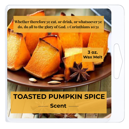 Toasted Pumpkin Spice 3 oz. Wax Melt