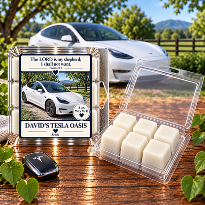 David's Tesla Oasis 3 oz. Wax Melt