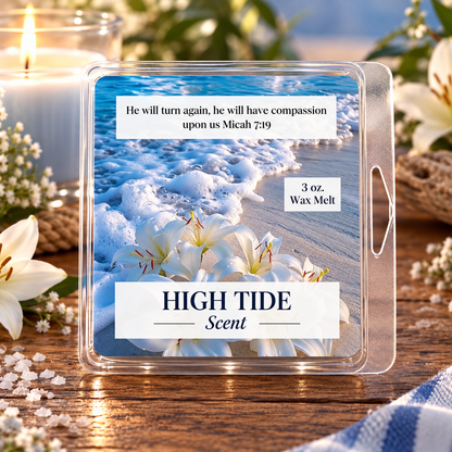 High Tide 3 oz. Wax Melt